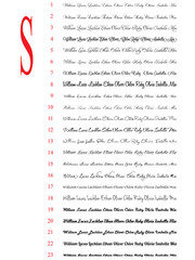 Custom Iron on Sticker Heat Transfer Decal Name Slogan DIY Shirt Wedding Favour