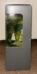 Threshold Vase Filler 100 pc