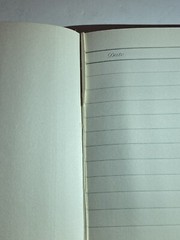 Beautiful guest book with wood vinyl wood print cover “guests” In gold cursive.