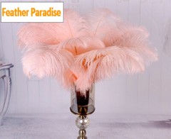 Peach Blush Pink 12 Pieces Ostrich Feather 12-14 inches Dozen Wedding Centerpiec
