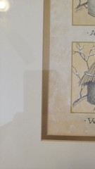 Gold Framed/Matted 23″ x11″ Picture 4 Birds And Nests – East Season, Vintage, VG