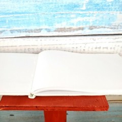 Guest Book Starfish White Color Covered With Soft Silk Fabric USA Seller