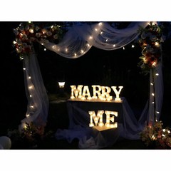 Freestanding Wedding Stand 2*2.1 m Stage Background Rack Party Flower Holder