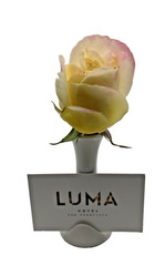 Bud Vase Place Card Photo Nametag Holder White Ceramic X 8 CHIPS SEE PICS USED