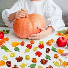 Jangostor 200 PCS Acrylic Leaves Mini Pumpkins Acorns Maple Leaves – Acrylic