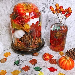 Jangostor 200 PCS Acrylic Leaves Mini Pumpkins Acorns Maple Leaves – Acrylic