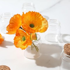 Magic Season Decorative Round Glass Bottles with Cork Stoppers (2 1.7 fl oz.