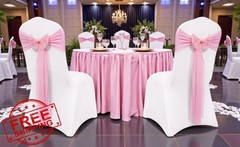 MDS 50pk Blush Pink Chiffon Chair Sashes Bows
