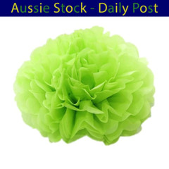 Pom Poms Tissue Paper Pompoms Wedding Baby Shower Birthday Party 6″-10″ 5pcs