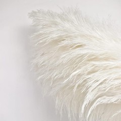 10 Stems 46″ inch White Ppas Grass Decor Tall, Lar Pompas Grass, Boho
