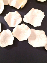 2080 Artificial Cream Flower Petals and 133 Balloons Confetti Event Party Supply