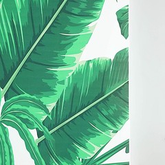 8 ft Printed Vinyl PHOTO BACKDROP Tropical Leaves Party BANNER Events