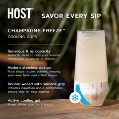 Host Freeze Insulated Champagne Glasses, Gifts for Mom, Home Bar Gifts for Wo…