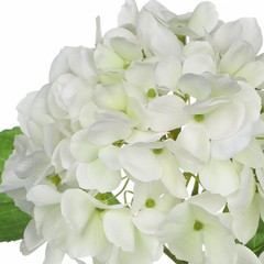 Hollyone White Hydrangea Artificial Flowers in Pots 19.7″ Faux Silk Hydranges…