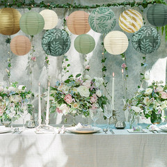 Sage Green Back to School Hanging Paper Lanterns Decorative, 12PCS Sage Green an