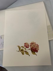 New Laura Ashley Gartner studios 2/50 Count Print Your Programs 8.5 X 11 Read