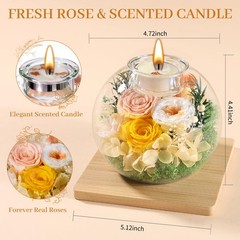 Mothers Day Rose Gifts Champagne Rose, Yellow Yellow-white Austin