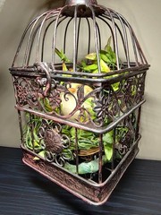 Vintage Decorative Metal Bird Cage French Country Cottage Decor w/Nest and Chick