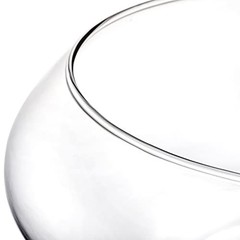 2 Pack Glass Vase Bowl, 6″/ 8″ Wide Mouth Flower Vase Round Terrarium, Glass