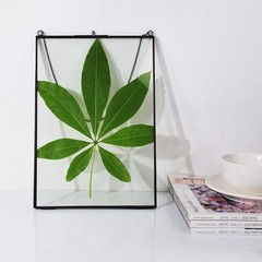 TLBTEK 8X12inch Picture Frames,Brass Hanging Double Glass Frame for Pressed F…