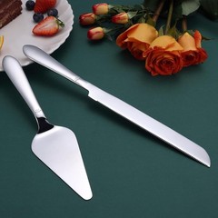 Cake Cutting Set for Wedding, Elegant Cake Knife and Server Set with Thickened S