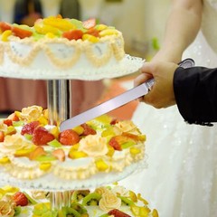 Vintage Wedding Cake Knife and Server Set Stainless Steel Cake Pie Pastry Cut…