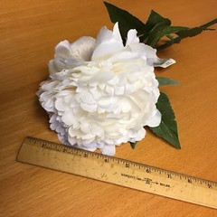 White Peony 27″ long 8 stems lot artificial flowers for crafts bouquet bridal