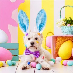 Easter Headbands and Glasses Frames for Kids Adult Photo Opportunities