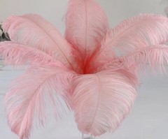 Blush Pink Ostrich Feathers 14-16 inches 50 Pieces Dozen Blush Feather Wedding