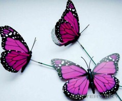 3D Colorful Artificial Butterflies Dummy Craft Wedding Party Floral Decor Gift*1