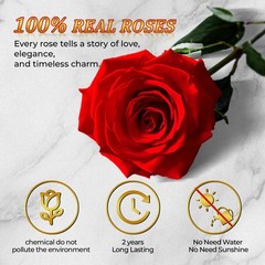 16 Pcs Mothers Day Gift Red Forever Roses In Heart Shaped Box Preserved Mom