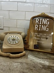 Vintage Phone Audio Guest with Framed Mirror Signage.