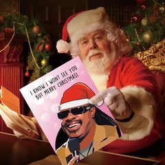 OJsensai Humorous Stevie Wonder Christmas Card For Women Men, Naughty Musicia…