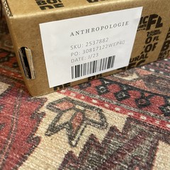 NEW Anthropologie 96 Piece Dried Nuetral Pampas Grass Boho Decor Flowers Reeds