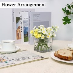 Set of 6 Square Glass Vases 3″ x3″ x 3″, Clear Flower Vases for 3inch
