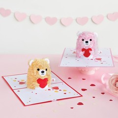 Lovepop Plushpop Soft Animal Pop-Up Card for Her and Him – 3D Bear Everyday G…