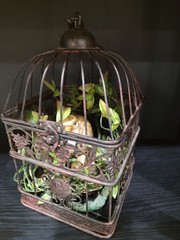 Vintage Decorative Metal Bird Cage French Country Cottage Decor w/Nest and Chick