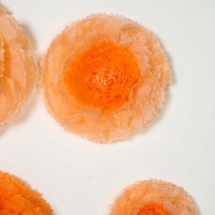 12 pack 12″ 16″ 20″ Coral and Orange Tissue Paper Carnation Flowers Backdrop