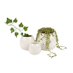 West Coast Paracord Planter Vase Set – 3 Pc White, Wedding Table Décor Reception