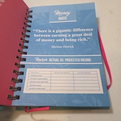 Budget Planner & Monthly Bill Organizer Book Non-Dated Budget Book