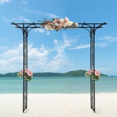 Garden Arch Metal Wedding Arch Backdrop Stand Garden Trellis for Climbing Plants