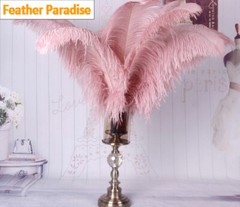 Dark Blush Pink 100 Pieces Ostrich Feathers 12-14 inches Wedding Centerpices