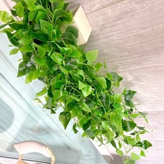 3 GREEN Silk Pothos Artificial HANGING PLANTS Party Events Decorations Supplies