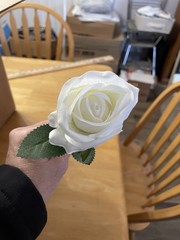 140 White Wedding Roses ling’s moment. Most Have Floral Picks – Used