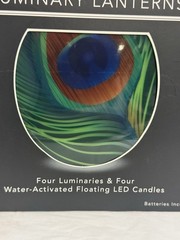 NEW Modgy Luminary Lanterns 4 Peacock Feather Not Opened Pool & Wedding Events
