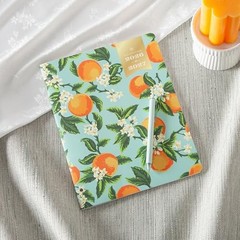 Day Designer 24 Month 2026 Monthly 8.5″ x 11″ Orange Blossom Mint- 2026