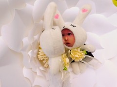 Personalized 3D Faces on Stuffed Toys – Wedding Rabbit Couple