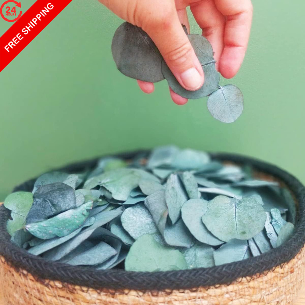 Preserved Eucalyptus Leaves, 1600 Pcs, Natural Small Green Small,