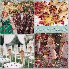 40+ Cups 9.3Oz Real Biodegradable Flower Petal Wedding Confetti, 5 QT 5 Kinds Co