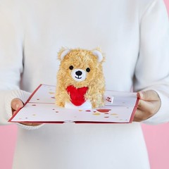 Lovepop Plushpop Soft Animal Pop-Up Card for Her and Him – 3D Bear Everyday G…
